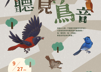 「聽見鳥音」活動 邀您走進美崙山一起賞鳥聽鳴
