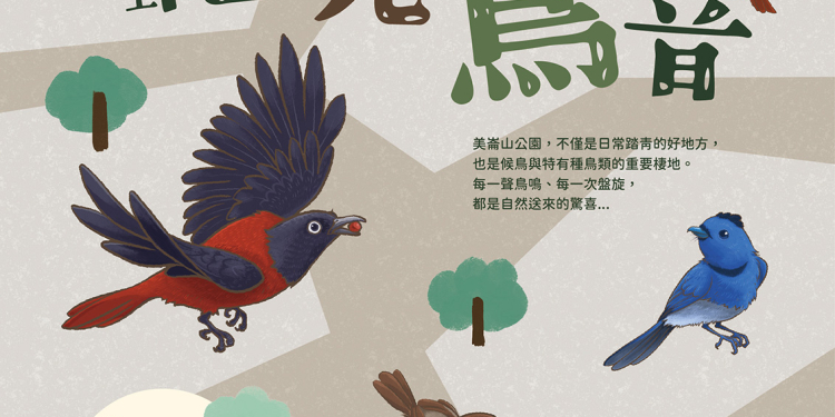 「聽見鳥音」活動 邀您走進美崙山一起賞鳥聽鳴
