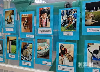 太有創意!花蓮醫院舉辦「花呆大賽與花呆影像展」