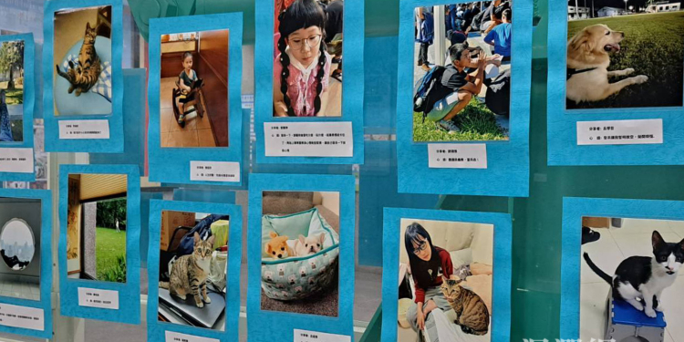 太有創意!花蓮醫院舉辦「花呆大賽與花呆影像展」