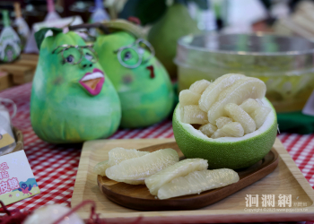 從柚到藥：當水果遇上處方箋