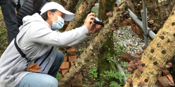 香菇栽培看這裡 花蓮分署教會你