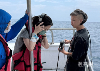 花蓮觀測抹香鯨數據 目擊率提升、聲紋資料登上國際平台