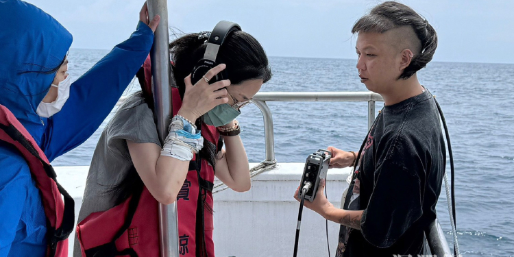 花蓮觀測抹香鯨數據 目擊率提升、聲紋資料登上國際平台