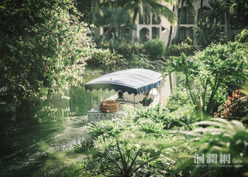 縱谷的冬季儀式 理想大地推五大亮點 渡過一個屬於你的聖誕