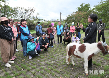 「漫遊初音」吉安小旅行 砌石工法與在地文史風華再現