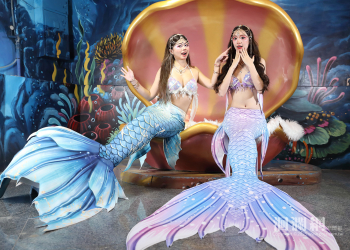 海洋公園23周年慶 本月限定 全年最強回饋一次到位