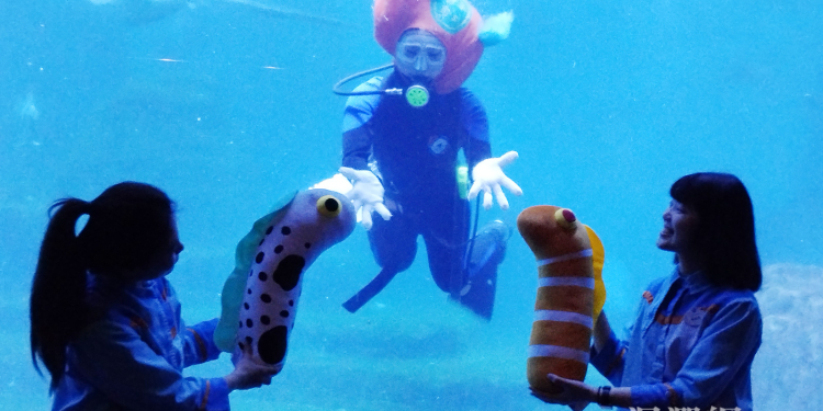 「金海馬」亮相迎新春 遠雄海洋公園 走春活動熱鬧登場