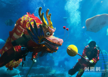 遠雄海洋公園節慶限定演出 歡樂迎新春