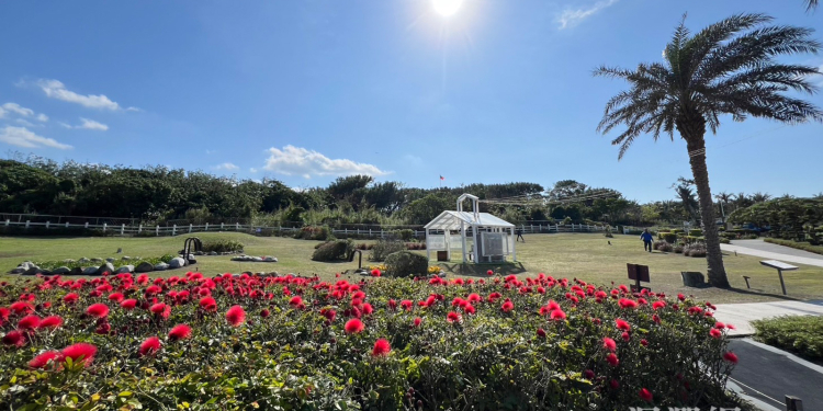 花蓮市區三大百花景點 春節走春繽紛新年