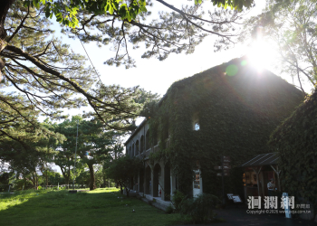 花蓮縣整合春節公共館舍開放資訊縣