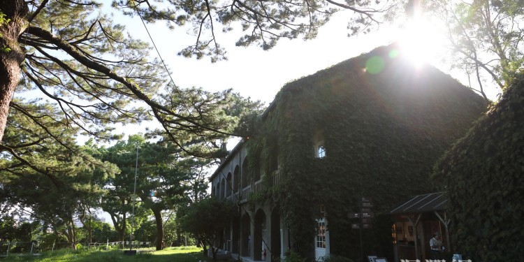 花蓮縣整合春節公共館舍開放資訊縣