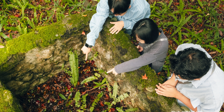 睽違670 天！綠水文山步道回來了 太魯閣晶英推導覽行程