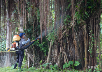 提前防治小黑蚊 花蓮市公所於國福國小周邊執行環境噴藥