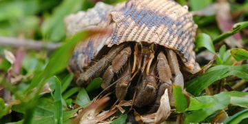 夜幕下的小野柳，邀您展開自然探索