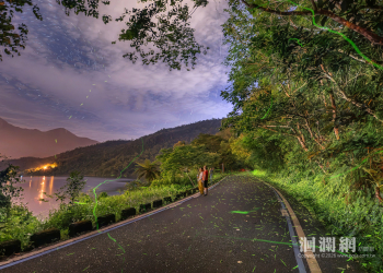 預約地上的銀河！2026鯉魚潭賞螢季—4/10登場3/23開放報名