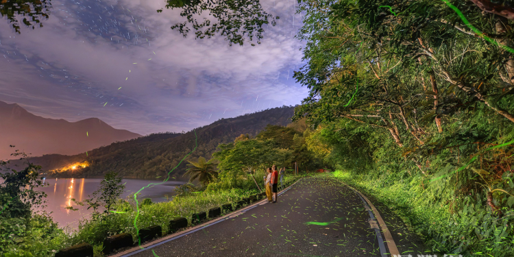 預約地上的銀河！2026鯉魚潭賞螢季—4/10登場3/23開放報名